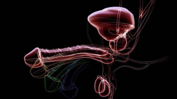 男性兴奋时为什么会出现分泌物，正常吗